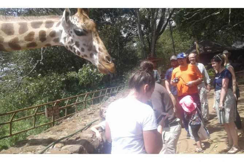 Nairobi: Giraffe Center, David Sheldrick Wildlife Trust & Nairobi