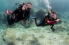 Epidavros Diving: Fun Diving Tour for Certified Divers in Epidavros