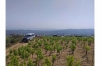 Chania Sunset Safari: Half-day Premium Sunset Jeep safari with Winery Visit Included from Chania