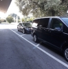 Rome: 8 Hour VIP Private Shore Excursion Cruise Pier Pickup 