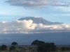 8 Days-Amboseli-Lake Naivasha-Lake Bogoria-Lake Nakuru-Masai Mara