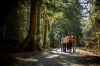 Vancouver Stanley Park Tour: Discover The Dark Secrets of Stanley Park Tour