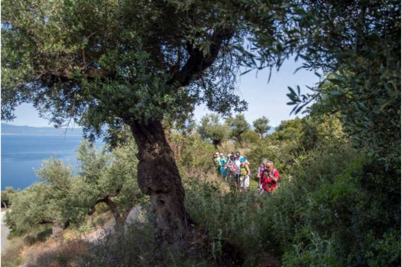 Nafplio Hiking: 3-hour Guided Hiking Tour from Nafplio