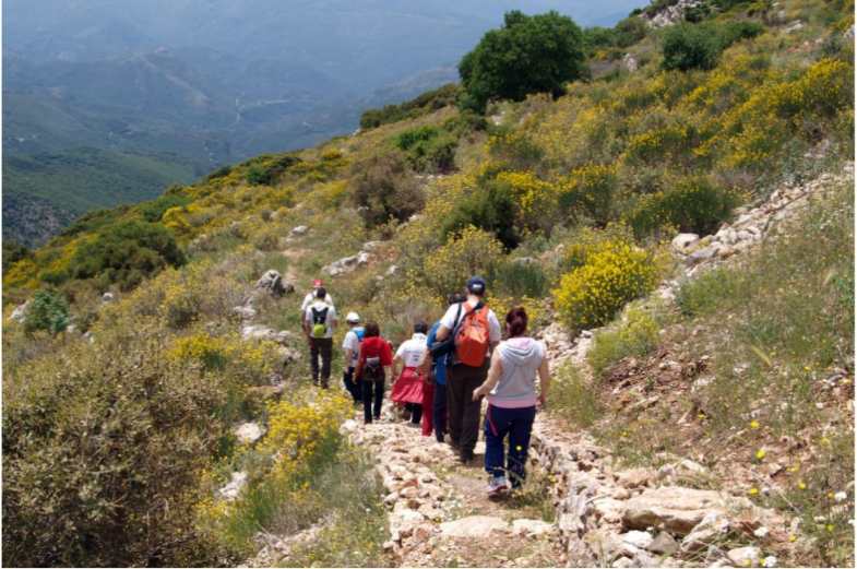 Nafplio Hiking: 3-hour Guided Hiking Tour from Nafplio