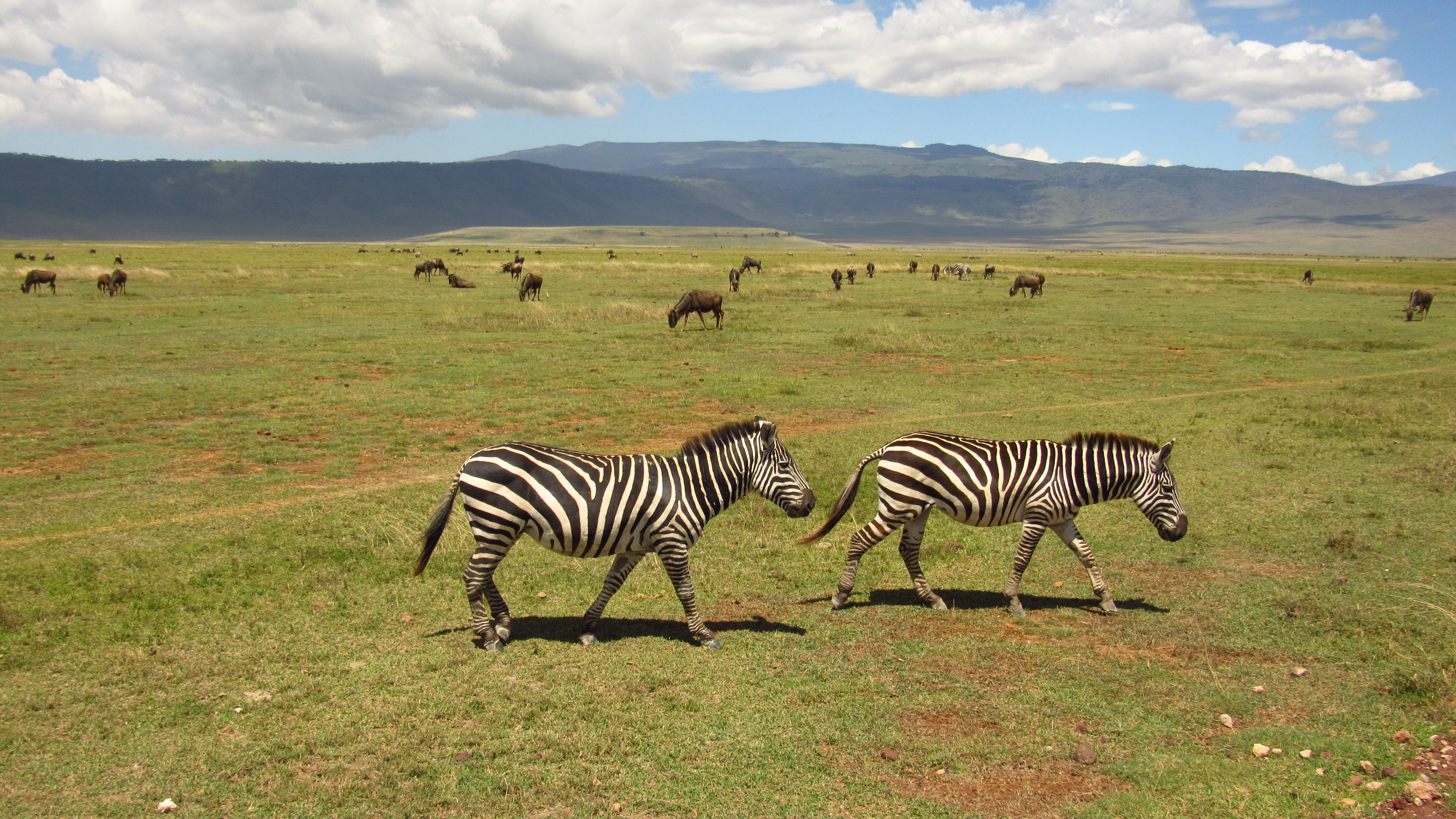 8 Days-Amboseli-Lake Naivasha-Lake Bogoria-Lake Nakuru-Masai Mara