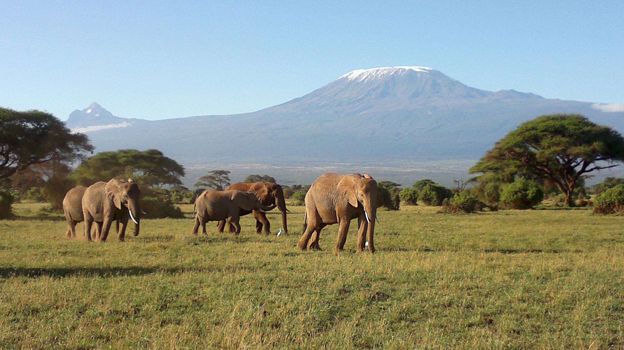 8 Days-Amboseli-Lake Naivasha-Lake Bogoria-Lake Nakuru-Masai Mara