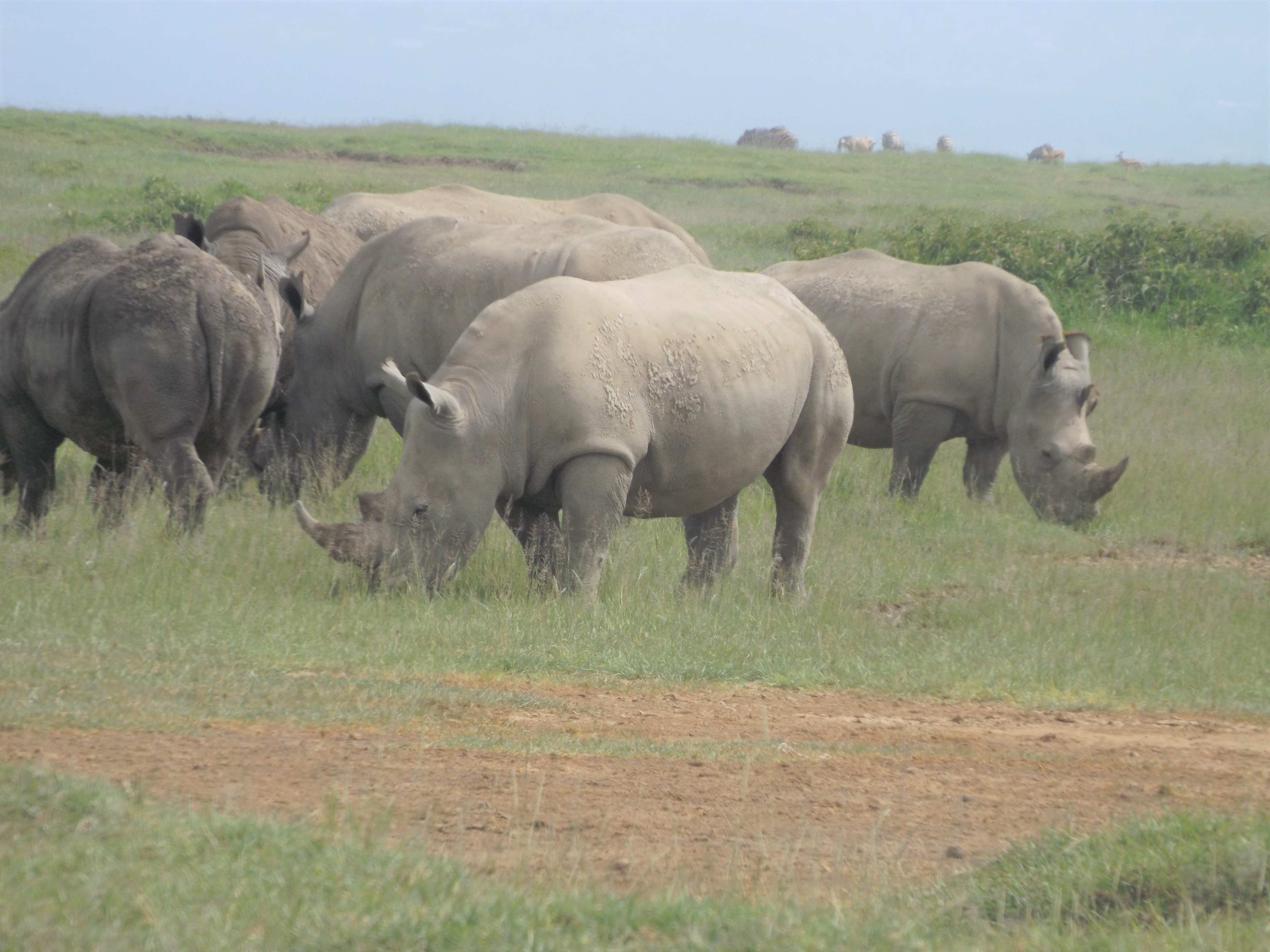 African Home Adventure Safaris 3 Days 2 Nights Masai Mara