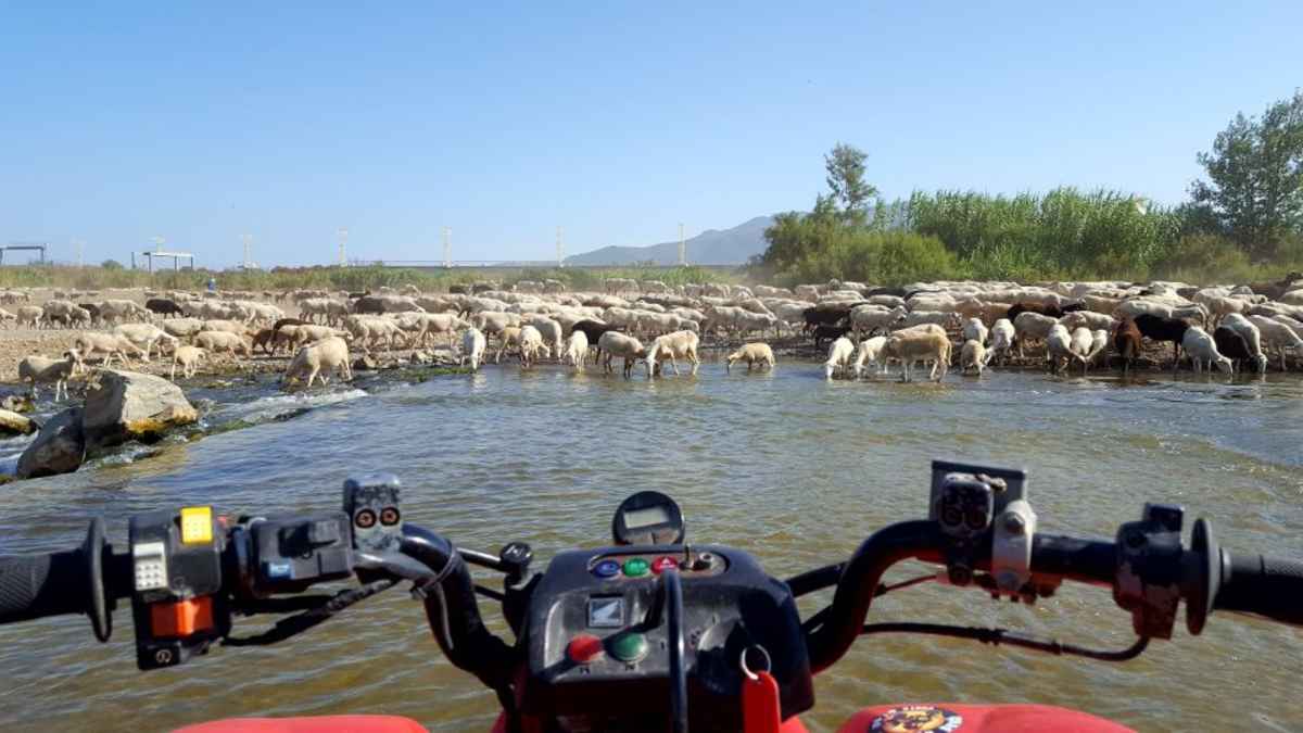 Quad Malaga : 2-hour Costa Del Sol Quad Tour around Malaga