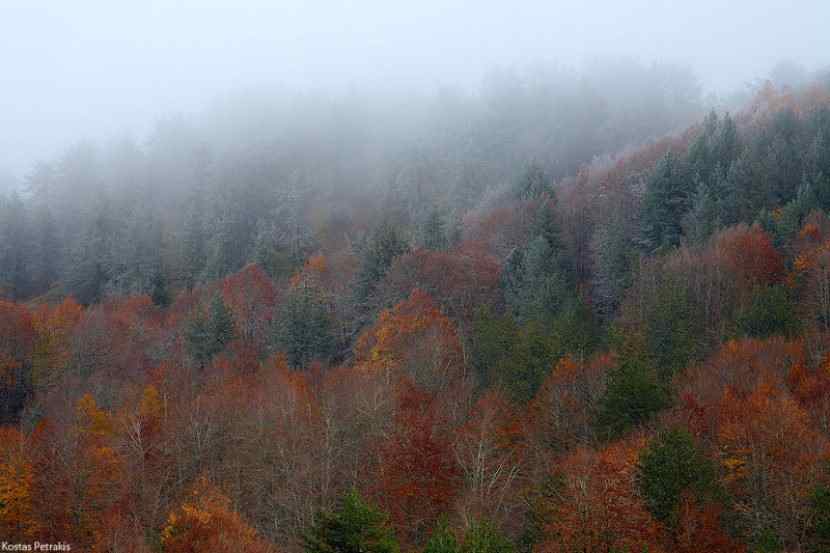 Valia Calda Mountain Shelter - Pindos National Park