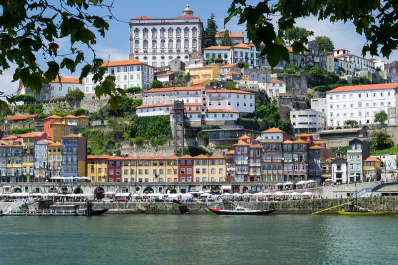 Visite de Porto: Visite d'une Journée Complète de Porto avec Dégustation de Vins et Déjeuner