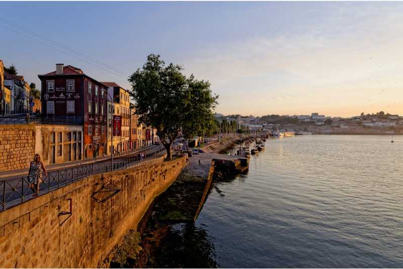 Porto Sightseeing: Full-day Porto Tour with Wine Tasting & River Cruise 