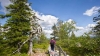 Lapland Trip: 3-hour Lapland Berry & Mushrooms Foraging Tour from Rovaniemi