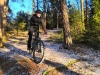 Stockholm Bike Tour: 5-hour Mountain Bike Experience Near Stockholm