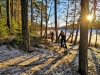 Stockholm Bike Tour: 5-hour Mountain Bike Experience Near Stockholm