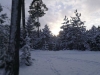 Stockholm Snowshoeing: 6-hour Snowshoeing Adventure Near Stockholm