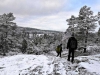 Stockholm Snowshoeing: 6-hour Snowshoeing Adventure Near Stockholm