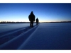 Stockholm Snowshoeing: 6-hour Snowshoeing Adventure Near Stockholm