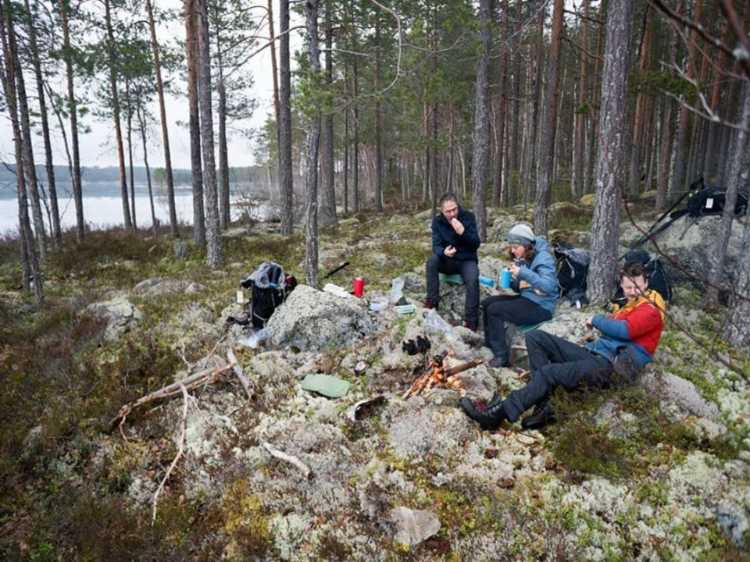 Stockholm Hiking: Full-day Hiking Adventure Near Stockholm