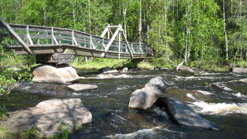 Rovaniemi Hiking Trails: 3-hour Hiking Trails around Vikaköngäs near Rovaniemi