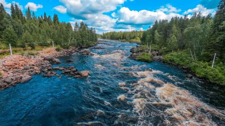 Rovaniemi Hiking Trails: 3-hour Hiking Trails around Vikaköngäs near Rovaniemi