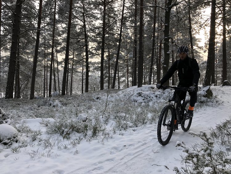 Stockholm Bike Tour: 5-hour Mountain Bike Experience Near Stockholm