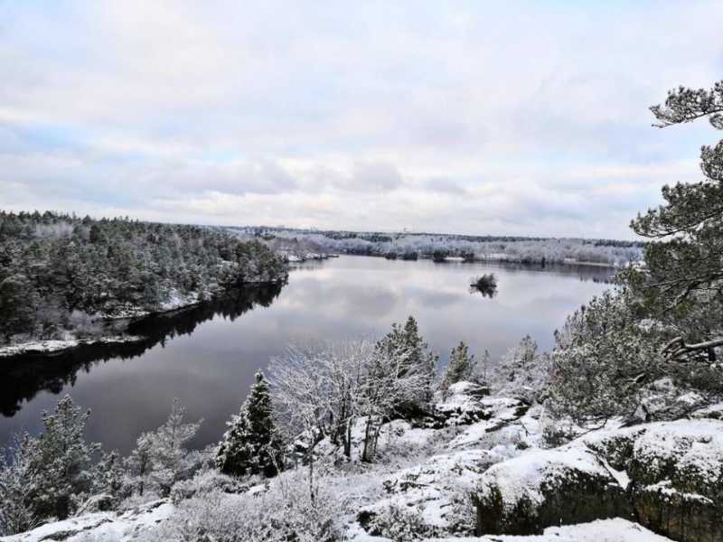 Stockholm Snowshoeing: 6-hour Snowshoeing Adventure Near Stockholm