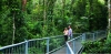 Daintree Cape Tribulation:  2-Day Guided Tour from Cairns 