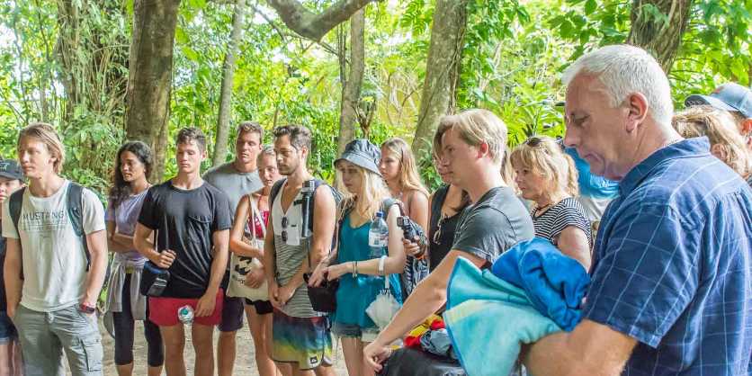 Cape Tribulation from Cairns: Full-day Daintree Rainforest & Cape Tribulation Tour from Cairns