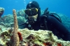 Rhodes Scuba Diving and Snorkeling Experience 