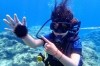 Rhodes Scuba Diving and Snorkeling Experience 