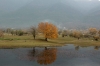 Lake Kerkini: 1-hour Lake Kerkini Bird Watching Boat Trip