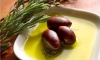 Greek Olive Oil Tour: 1-hour Olive Oil Testing Experience at Eumelia Organic Farm