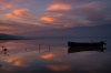 Lake Kerkini: 1-hour Lake Kerkini Bird Watching Boat Trip