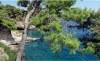 Alonnisos Marine Park Snorkeling Tour