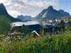 From Svolvær: Lofoten Islands Full-Day Cruise