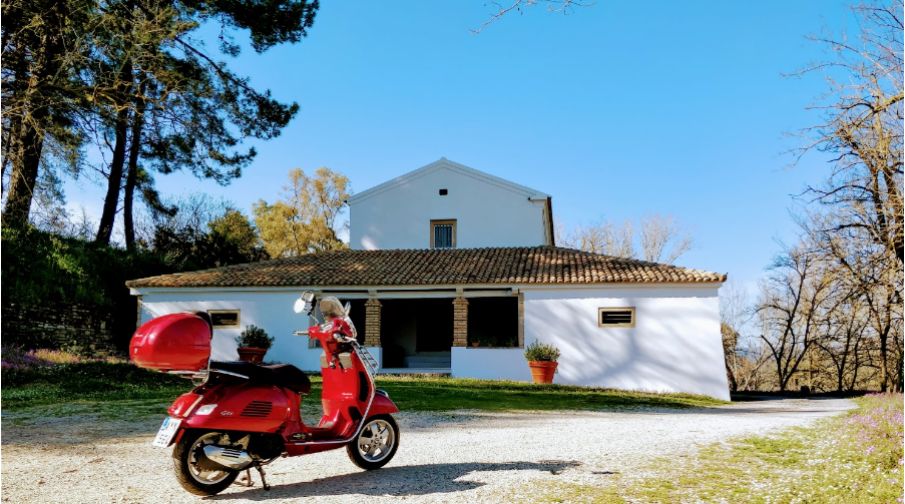 Corfu Vespa Tour: 6-hour Vespa Tour with Wine Tasting & Olive Oil Tasting in Corfu