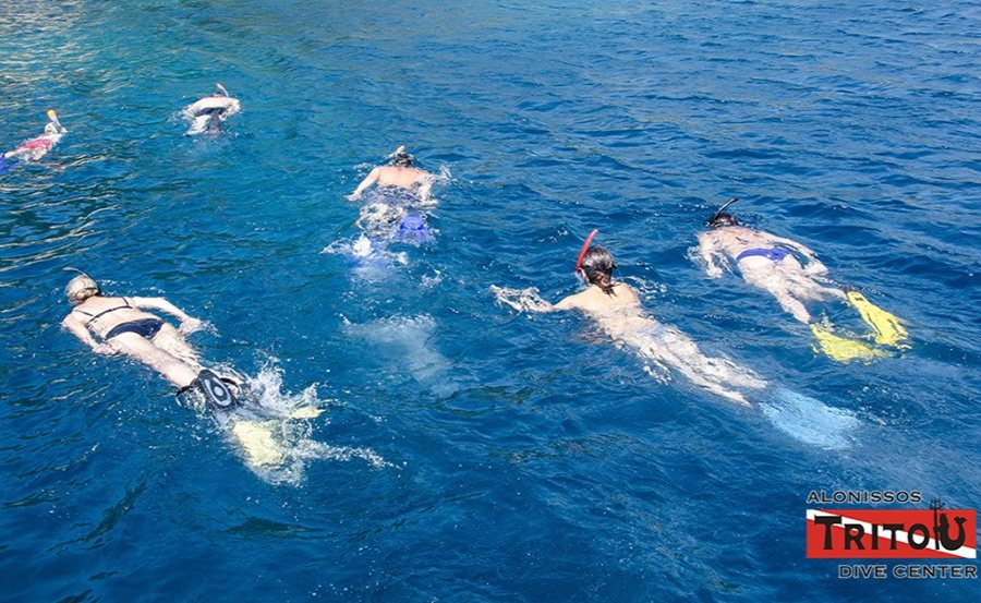 Alonnisos Marine Park Snorkeling Tour