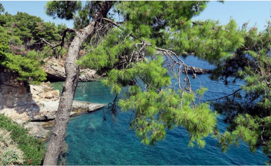Alonnisos Marine Park Snorkeling Tour