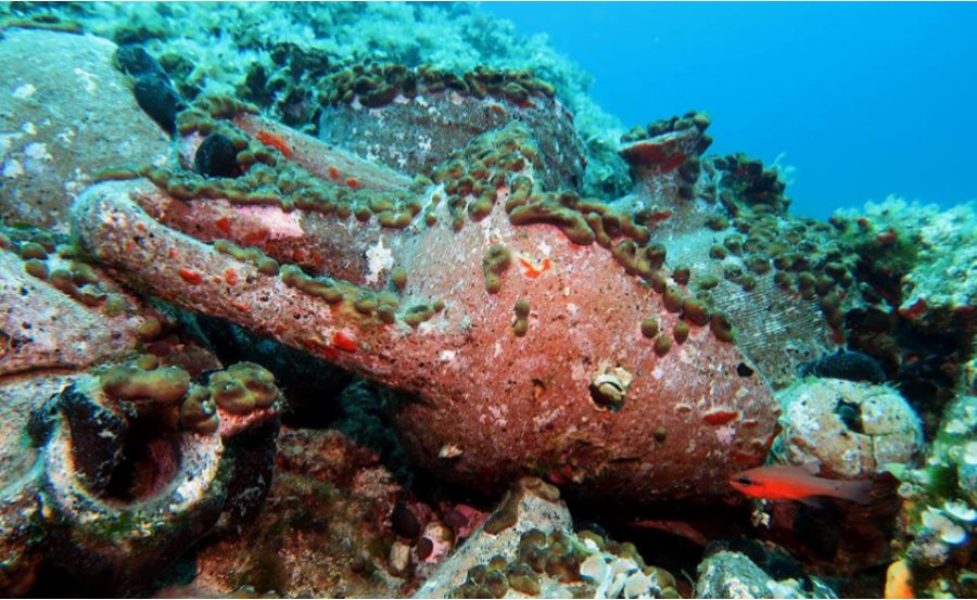 Alonnisos Marine Park Snorkeling Tour