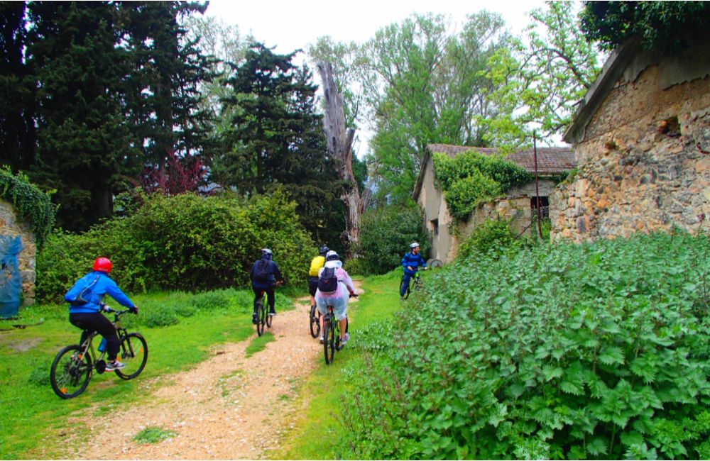 From Athens: Tatoi Royal Estate Cycling Tour