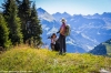 Lucerne Hiking: Full-day Stanserhorn & Geo-Trial Private Hiking Tour 