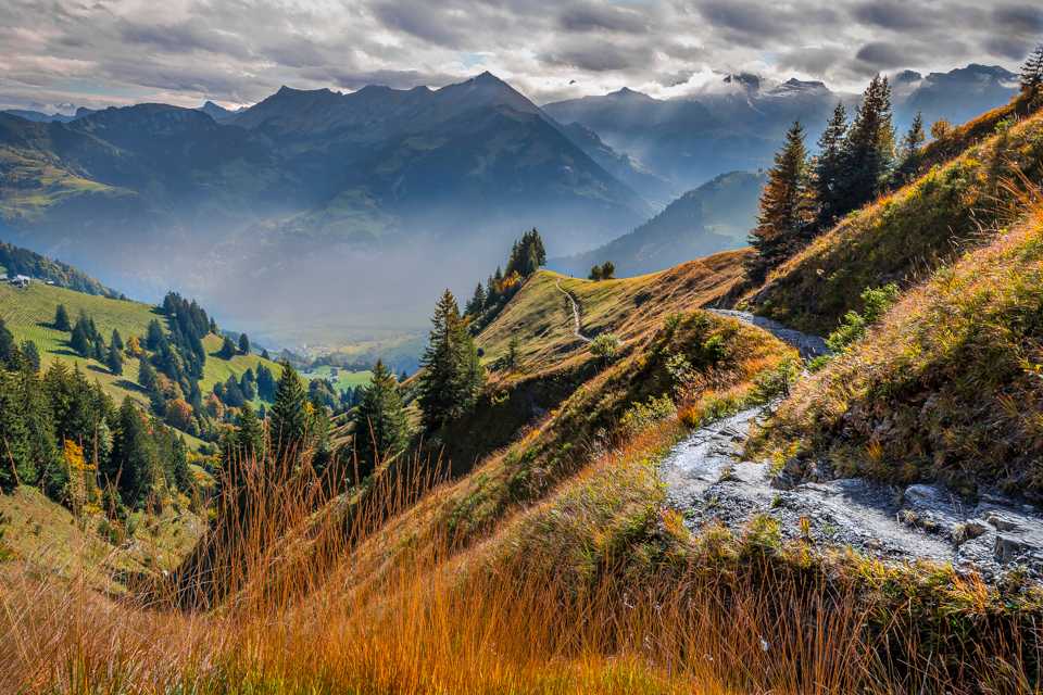 Lucerne Hiking: Full-day Stanserhorn & Geo-Trial Private Hiking Tour 