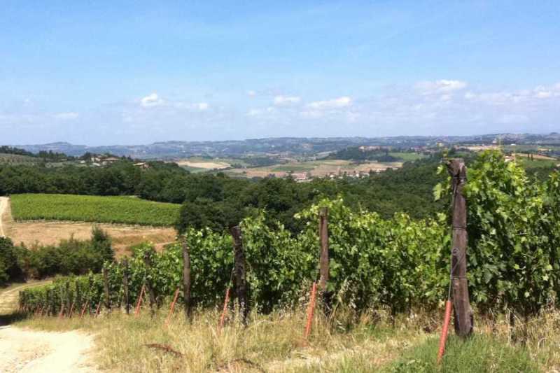 San Gimignano Day Trip: Full-day San Gimignano Day trip & Wine Tasting from Florence