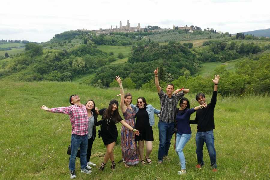 San Gimignano Wineries: Full-day San Gimignano Wineries & Wine Tasting from Florence