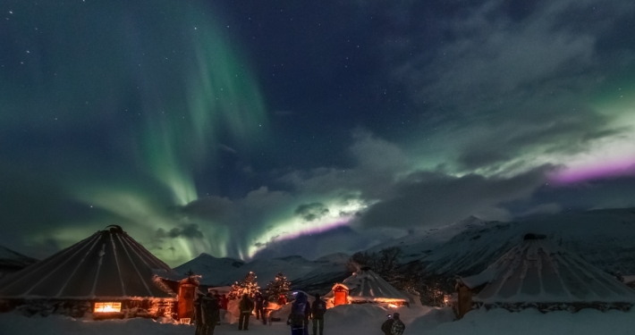 Dog Sledding in Tromso and other Winter Activities with Overnight Stay in Camp Tamok