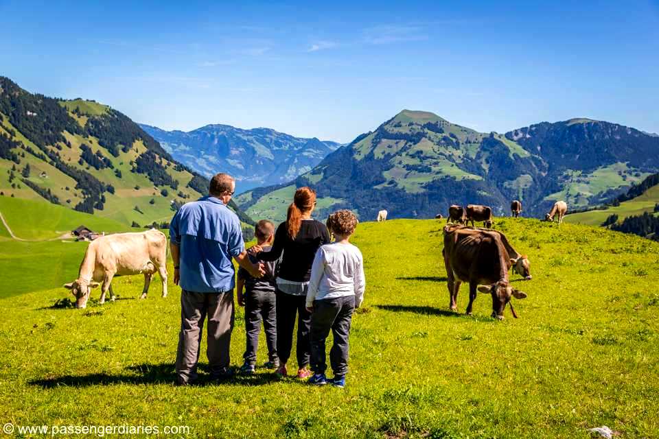 Lucerne Hiking: Full-day Stanserhorn & Geo-Trial Private Hiking Tour 