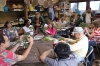 Bonsai Workshop: 2-hour Bonsai Art Experience by Professional Bonsai Artist in Tokyo