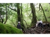 Yakushima Hiking: 5-hour Shiratani-Unsuikyo Private Hiking Tour