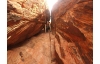 Valley of Fire Tour: Full-day Valley of Fire Guided Tour from Las Vegas