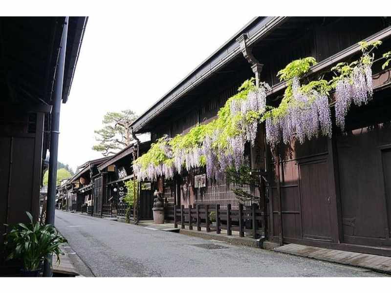 Shirakawago Day Trip: Private Shirakawago Day Trip from Takayama